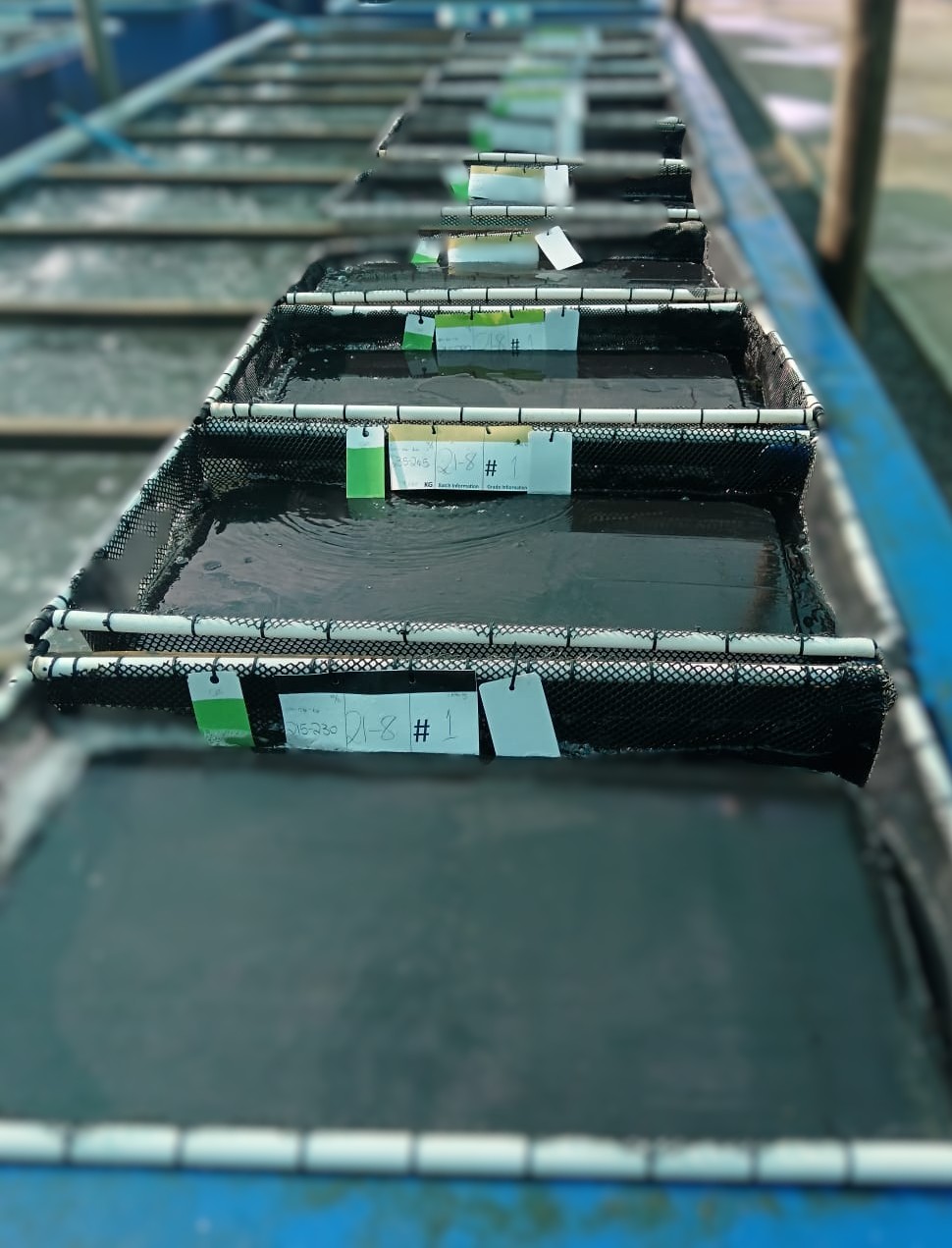 Aquaculture